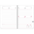 Daily diary Capys silver 2020, 15 × 21 cm