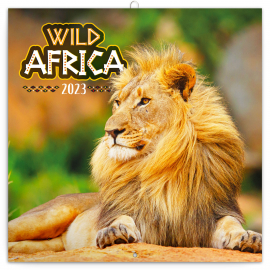 Grid calendar Wild Africa 2023, 30 × 30 cm