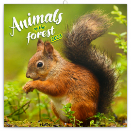 Grid calendar Animals of the Forest 2023, 30 × 30 cm