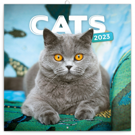 Poznámkový kalendář Kočky 2023, 30 × 30 cm