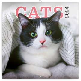 Cats 2024 Note Calendar, 30 × 30 cm