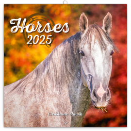Poznámkový kalendář Koně – Christiane Slawik 2025, 30 × 30 cm