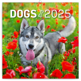 Grid calendar Dogs 2025, 30 × 30 cm