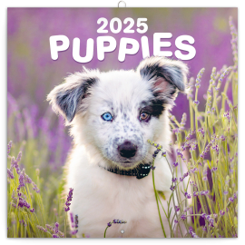 Grid calendar Puppies 2025, 30 × 30 cm