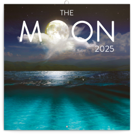Grid calendar The Moon 2025, 30 × 30 cm