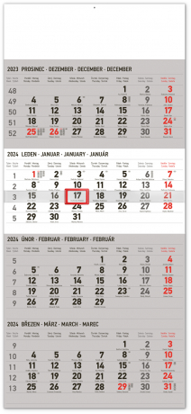 4-month Standard 2024 Wall Calendar, 29.5 × 57 cm