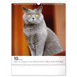 Nástěnný kalendář Kočky 2022, 30 × 34 cm