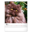 Nástěnný kalendář Kočky 2022, 30 × 34 cm