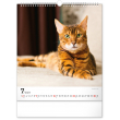 Nástěnný kalendář Kočky 2023, 30 × 34 cm