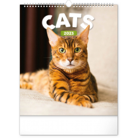 Wall calendar Cats 2023, 30 × 34 cm