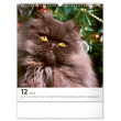 Nástěnný kalendář Kočky 2024, 30 × 34 cm