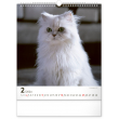 Nástěnný kalendář Kočky 2024, 30 × 34 cm