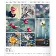 Nástěnný kalendář Kolekce 2018, 30 x 34 cm