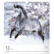 Nástěnný kalendář Koně 2018, 30 x 34 cm
