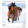 Nástěnný kalendář Koně 2018, 30 x 34 cm
