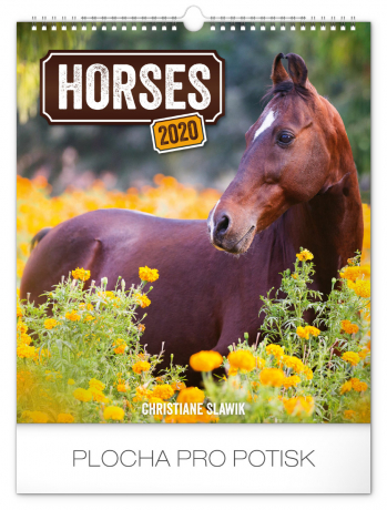 Wall calendar Horses 2020, 30 × 34 cm