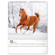 Nástěnný kalendář Koně 2024, 30 × 34 cm