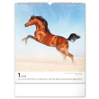 Nástěnný kalendář Koně 2024, 30 × 34 cm