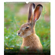 Nástěnný kalendář Poľovnícky SK 2018, 30 x 34 cm