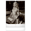 Nástěnný kalendář Romantic Girls – Martin Šebesta 2024, 33 × 46 cm
