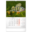 Nástěnný kalendář Rybářský 2022, 33 × 46 cm