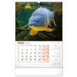 Fishing 2024 Wall Calendar, 33 × 46 cm