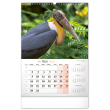 Nástěnný kalendář Za zvířaty do divočiny 2023, 33 × 46 cm