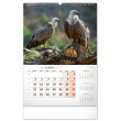 Nástěnný kalendář Za zvířaty do divočiny 2023, 33 × 46 cm