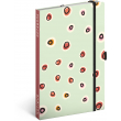 Notebook Dots, lined, 13 × 21 cm