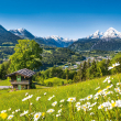 Poznámkový kalendář Alpy 2019, 30 x 30 cm