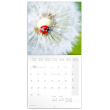 Poznámkový kalendář Berušky 2020, 30 × 30 cm