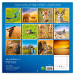 Grid calendar Wild Africa 2019, 30 × 30 cm