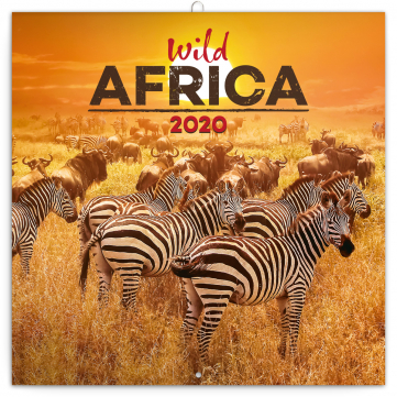 Poznámkový kalendář Divoká Afrika 2020, 30 × 30 cm