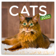 Poznámkový kalendář Kočky 2022, 30 × 30 cm