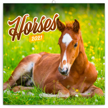 Poznámkový kalendář Koně – Christiane Slawik 2021, 30 × 30 cm