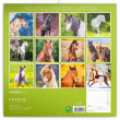 Poznámkový kalendář Koně – Christiane Slawik 2022, 30 × 30 cm