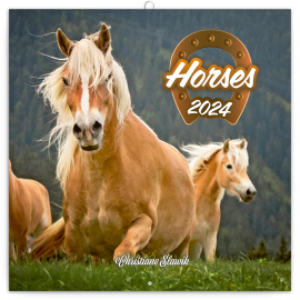 Horses - Christiane Slawik 2024 Note Calendar, 30 × 30 cm
