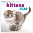 Poznámkový kalendář Koťata 2020, 30 × 30 cm