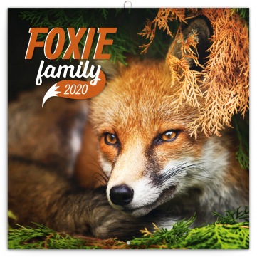 Grid calendar Foxie family 2020, 30 × 30 cm
