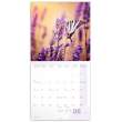 Grid calendar Provence scented 2019, 30 × 30 cm