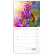 Poznámkový kalendář Provence 2021, voňavý, 30 × 30 cm
