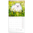 Poznámkový kalendář Psi 2023, 30 × 30 cm