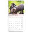 Poznámkový kalendář Šťastní sloni 2023, 30 × 30 cm