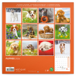 Puppies 2024 Note Calendar, 30 × 30 cm