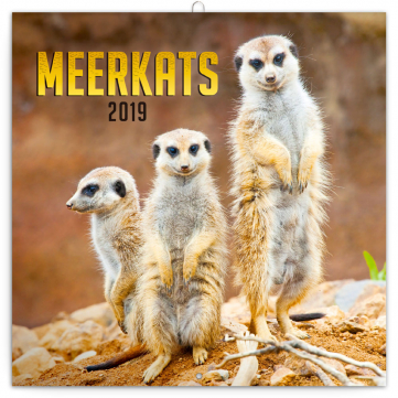 Poznámkový kalendář Surikaty 2019, 30 x 30 cm