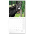 Poznámkový kalendář Úsměv, prosím... 2023, 30 × 30 cm