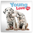 Poznámkový kalendář Young Love 2019, 30 x 30 cm