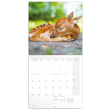 Poznámkový kalendář Zvířátka z lesa 2023, 30 × 30 cm