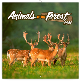 Animals from the Forest 2024 Note Calendar, 30 × 30 cm