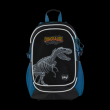 School backpack Dinosaurus